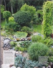 Artikel från Allt om trädgård