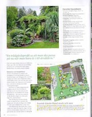 Artikel från Allt om trädgård